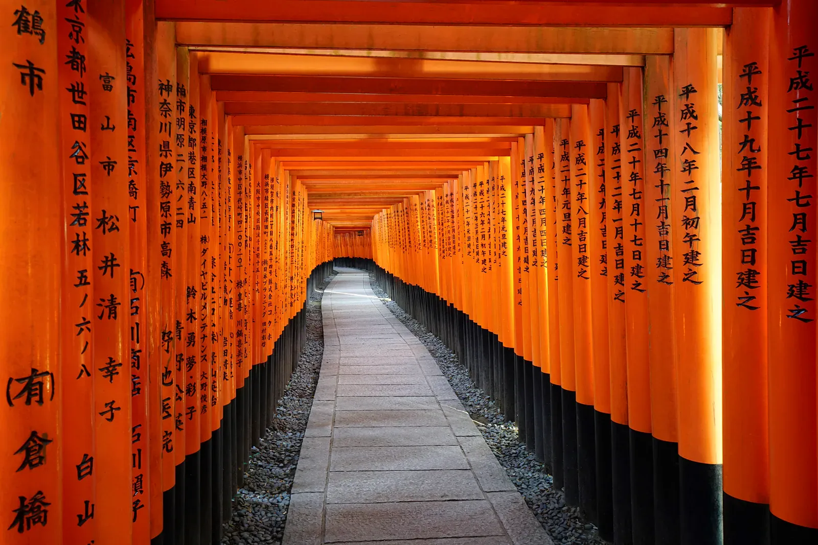 Tunnel of vermilion torii gates at Fushimi Inari, Kyoto