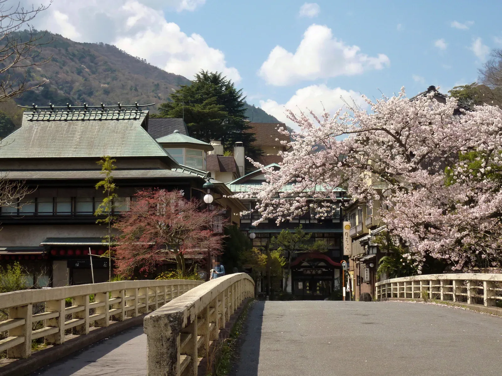 Hakone Yumoto onsen town in cherry blossom season