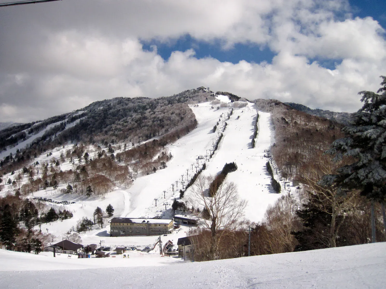 Ski trail on a snowy mountain at Shiga Kogen, Nagano